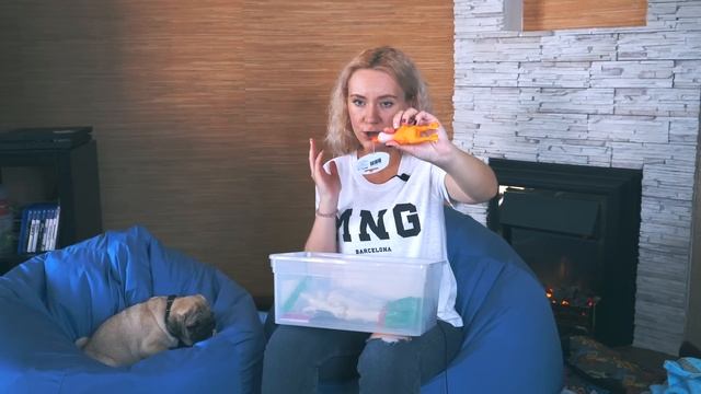 ПЕРВЫЕ ПОКУПКИ ДЛЯ ЩЕНКА ? ЧТО НУЖНО ДЛЯ ПОЯВЛЕНИЯ СОБАКИ В ДОМЕ ОБЗОР И РАСПАКОВКА / МОПС БАКС ЗУМ смотреть онлайн