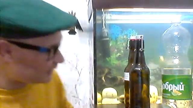 RAVEN 88 В ЭФИРЕ DOC 114