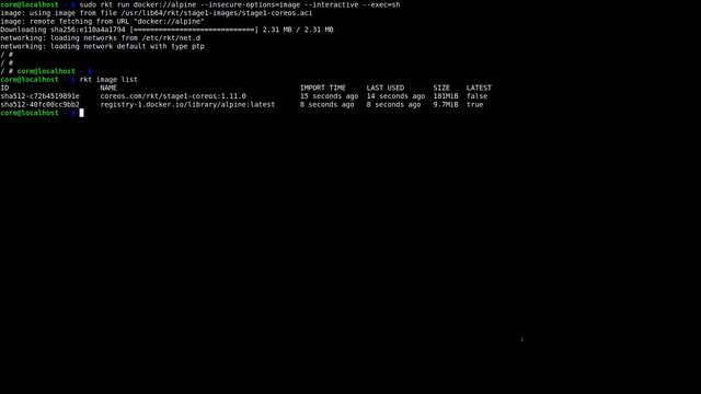 Fetching and runnning docker container images with rkt смотреть онлайн
