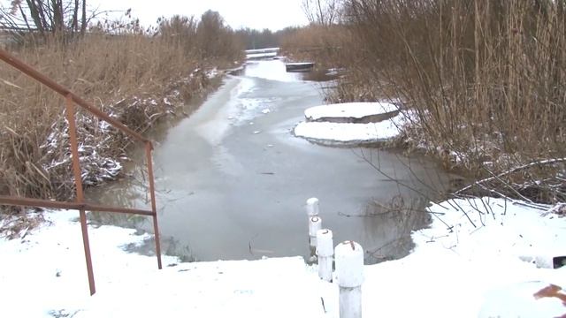 Рыба-Путешественница