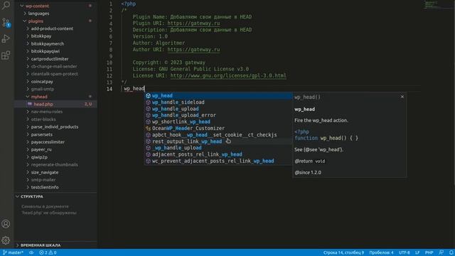 Разработка плагинов для Wordpress. Заголовок Плагина. Вебхуки. Добавление в шапку сайта смотреть онлайн