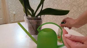 ПЕРВЫЙ полив орхидеи после пересадки | КОГДА поливать орхидею с гнилыми, сухими корнями