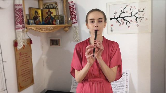 The Belfast Hornpipe. Uliana Zhivitskaya (Irish Whistle). смотреть онлайн