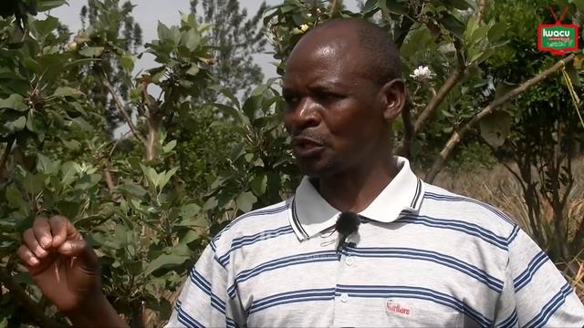 Gros plan: Du journalisme à l’agribusiness смотреть онлайн