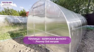 Видео-обзор арочной теплицы «БОЯРСКАЯ ДЕЛЮКС» от TEPLITSA-RUS.ru