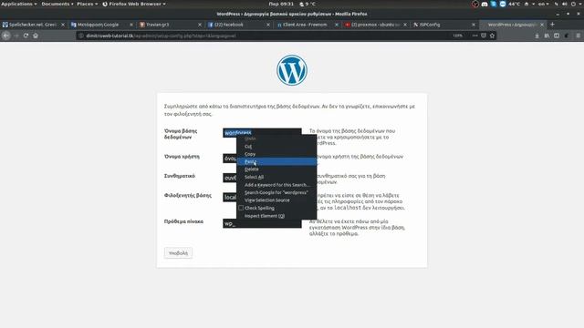 ISPConfig - FTP Wordpress DB Webmail смотреть онлайн