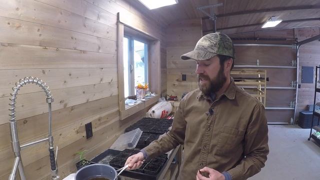 ABC acres: Starting Thornless Honey Locust Trees From Seed - episode #023 смотреть онлайн
