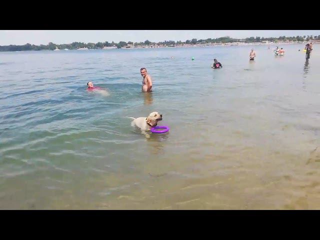 3 июля 2023 г. смотреть онлайн