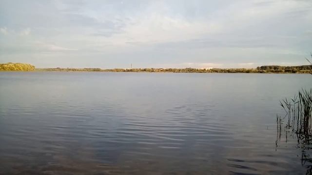 Пляж на р. Брынь. г. Сухиничи. Калужская область. 5 июля 2020 г. смотреть онлайн