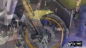 VOGE DS 900 vs KOVE 800X (MacBor) - 2023