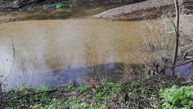 ВЕСНА! Прогулка по разливам. Открыл летний рыболовный сезон.