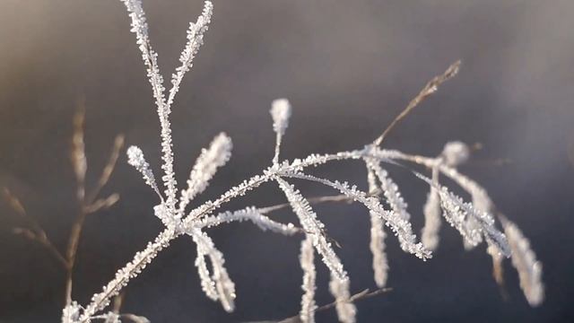 Заговор от головных болей на Убывающую Луну.Заговоры Магия Обряды смотреть онлайн