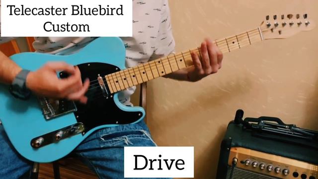 Telecaster Custom Bluebird - пример звучания. #telecaster #electricguitar смотреть онлайн