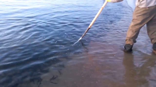 вот это улов! смотреть онлайн