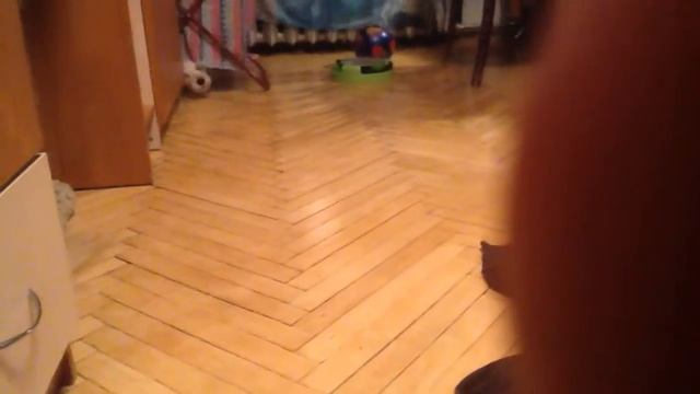 Постирали собаку ч1 смотреть онлайн