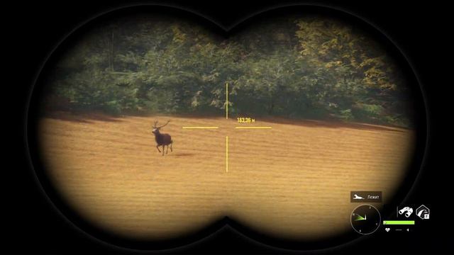 TheHunter Call of the Wild - ХИРШФЕЛЬДЕН. Красивые ОЛЕНИ. Группа ЗУБРОВ. Миграция и Промахи # 14 смотреть онлайн