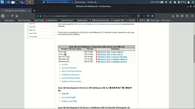 Introducción a la programación en Java (Instalación de Netbeans 8.2) смотреть онлайн