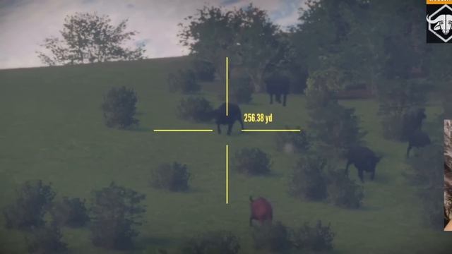 HUNTING EVERY ANIMAL IN THE GAME! (2021 Edition) Call Of The Wild смотреть онлайн