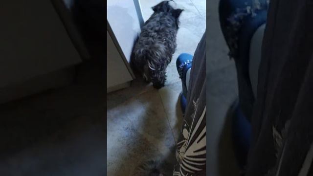 Наши будни. смотреть онлайн