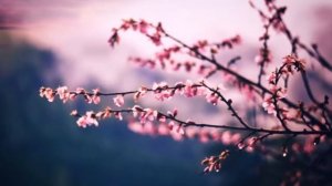 КРАСИВАЯ РАССЛАБЛЯЮЩАЯ МУЗЫКА, МУЗЫКА ДЛЯ СНА, СПОКОЙНАЯ МУЗЫКА, РОМАНТИЧЕСКАЯ МУЗЫКА