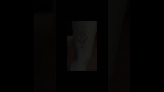 lion tattoo designs #liontattoo #liontattooideas #tattoodesigner #shortvideo #shortsfeed смотреть онлайн