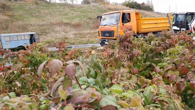 маз самосвал. " малина". смотреть онлайн