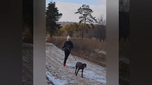 Соревнования по Биатлону 7 февраля 2021 год смотреть онлайн