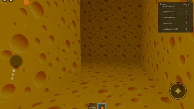ROBLOX с Габриелом игра СЫРНЫЙ ЛАБИРИНТ ЧАСТЬ 1 смотреть онлайн