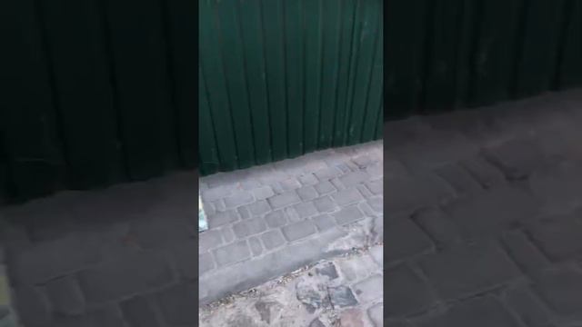 художественная выставка в церкви без колоколов - Kunsutstillingen ved kirken смотреть онлайн