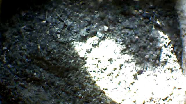 From Internet Camera(Turmfalken[03:1A:A5])2014/07/02,18:23:17_D смотреть онлайн