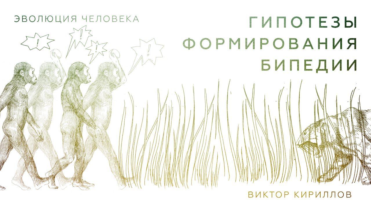 5. Гипотезы формирования бипедии. Происхождение человека - 10 класс смотреть онлайн