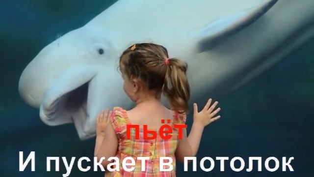 песня Кашалотик №6 смотреть онлайн