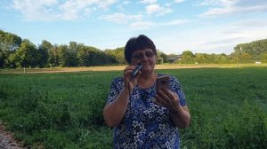 "А годы летят и уходят мгновением в прошлое" - Песня