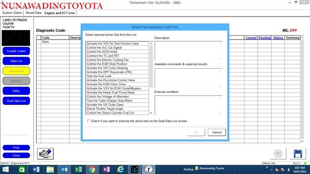P0400 Toyota Prado150