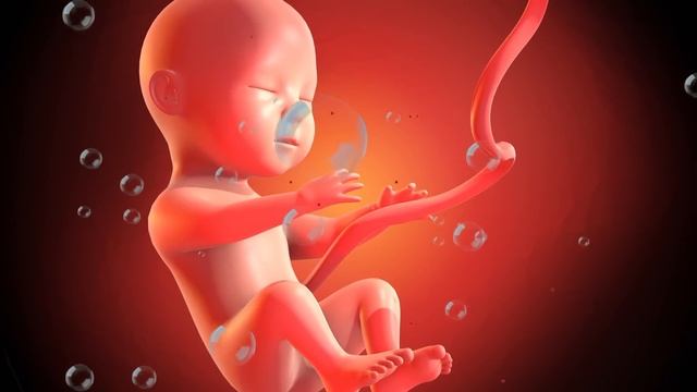 ?️pregnancy music for baby in womb???Music develops brains for babies in the womb смотреть онлайн