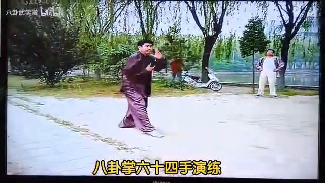 Учитель Ли (李) демонстрирует боевую форму "шестьдесят четыре руки багуачжан" (八卦掌六十四手). смотреть онлайн