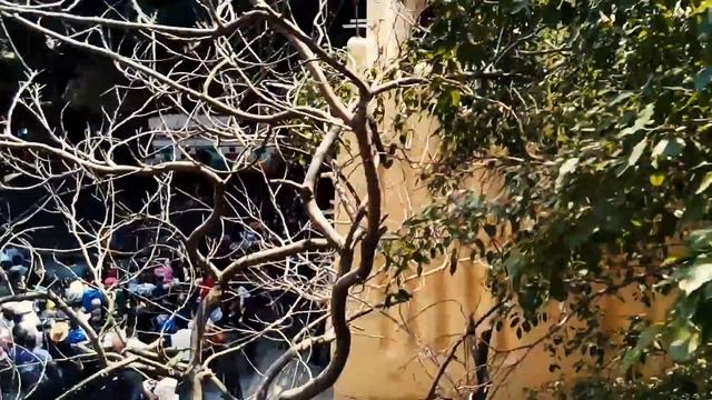 Китай, Шеньчжень парк Window of the World и чуть Гонг Конг 1 я часть