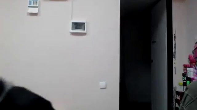 Видео обзор. Действие шокера на человека.