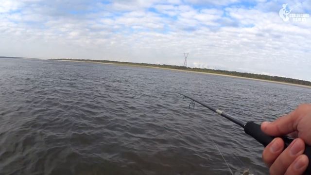 Я В ШОКЕ! Половил рыбу на КЛОЧКЕ ЗЕМЛИ. Экстремальная рыбалка посреди Волги смотреть онлайн