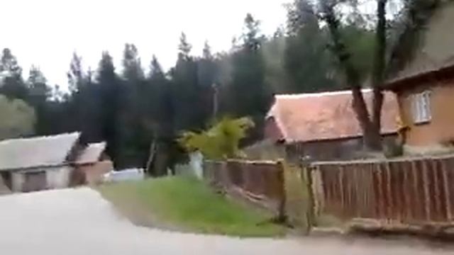 парковка  велосипедів  по  українськи