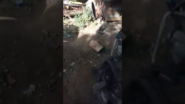 Двигатель 1Z(sharan) устанавливается на Т4(Transporter) смотреть онлайн