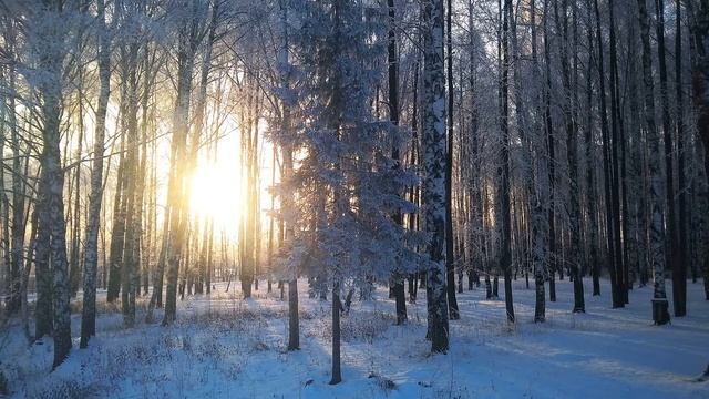 Е Евтушенко Дай бог! #стихиочеловеке #философскаялирика #поэты20века смотреть онлайн