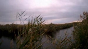 (18 ) Вечёрка удалась (охота на утку - 2019).mp4