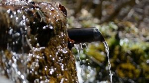 Один день из жизни таксиста. Читает Татьяна Орлова