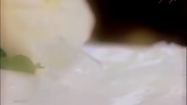 Дачники с Машей Шаховой. Дарьино. смотреть онлайн