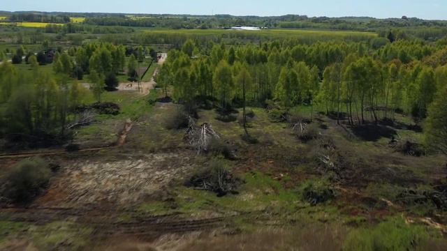 #кпСосны Май 2023г. #скДоминантика смотреть онлайн
