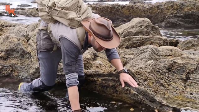 ОГРОМНЫЙ СЛИЗНЯК / Самый большой в мире / Койот Питерсон на русском смотреть онлайн