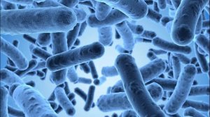 ПОЯВЛЕНИЕ ЭУКАРИОТ - величайший прорыв в эволюции жизни на Земле!