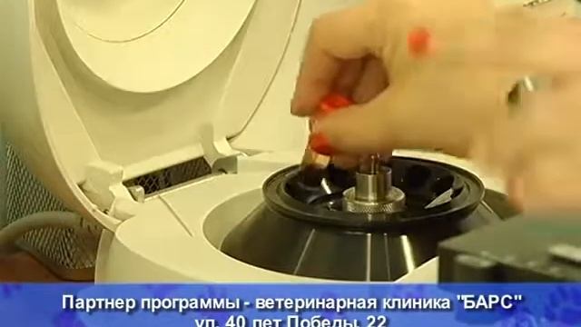 Ветеринарная клиника 