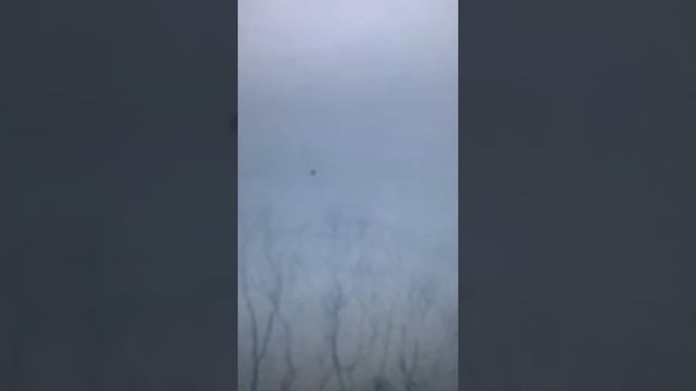 Битые пиксели на TCL смотреть онлайн